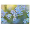 Bloemetjes - Blauw - Vergeet mij nietjes Deurmat klein -zkaufland3d