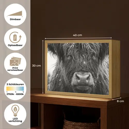 Schotse hooglander - Zwart - Wit - Sneeuwvlokken Light Box met batterij (Wandlamp) middel -USP_websiteoverzichtNL