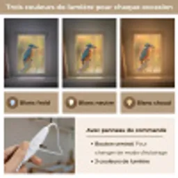IJsvogel - Tak - Water - Kleurrijk - Levendig Light Box met kabel (Kinderlampje) klein -USP_lichtkleurFR
