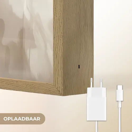 Bloem - Beige - Verf - Schaduw Light Box met batterij (Wandlamp) middel -USP_websiteoplaadbaarNL