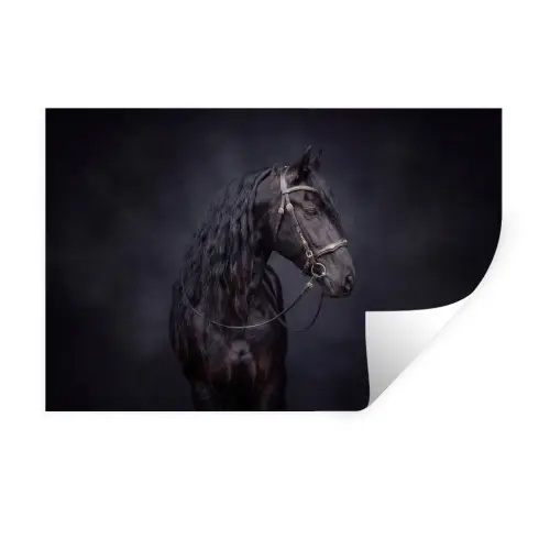 Portret - Paard - Donker Muursticker klein -3d