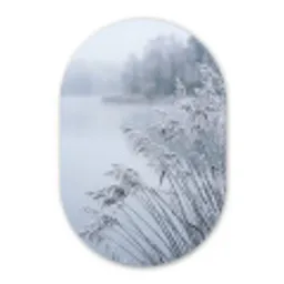 Riet - Bevroren - Winter - Natuur Wandcirkel Ovaal Forex klein -3d