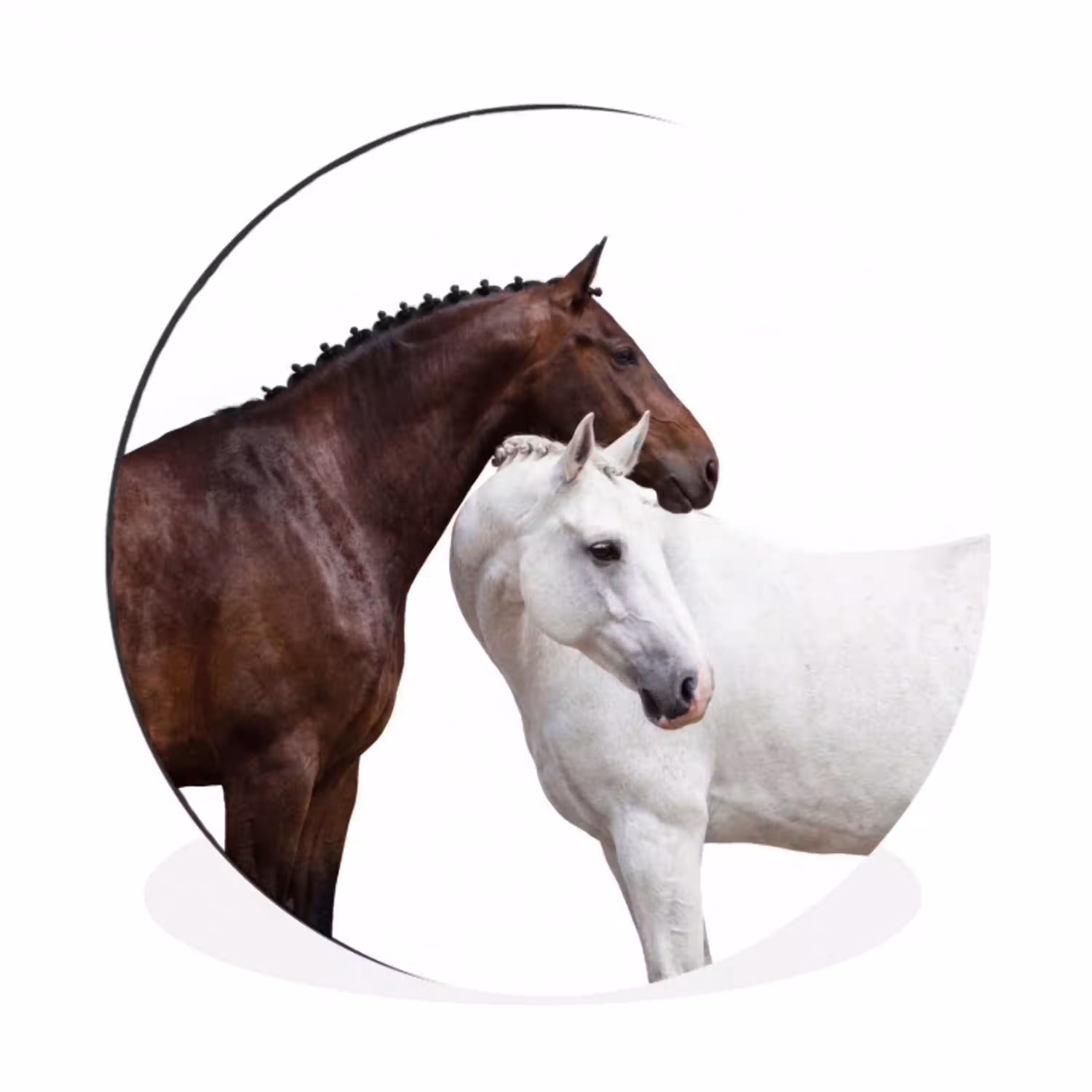 Paard - Modern - Balans Wandcirkel aluminium klein -3d