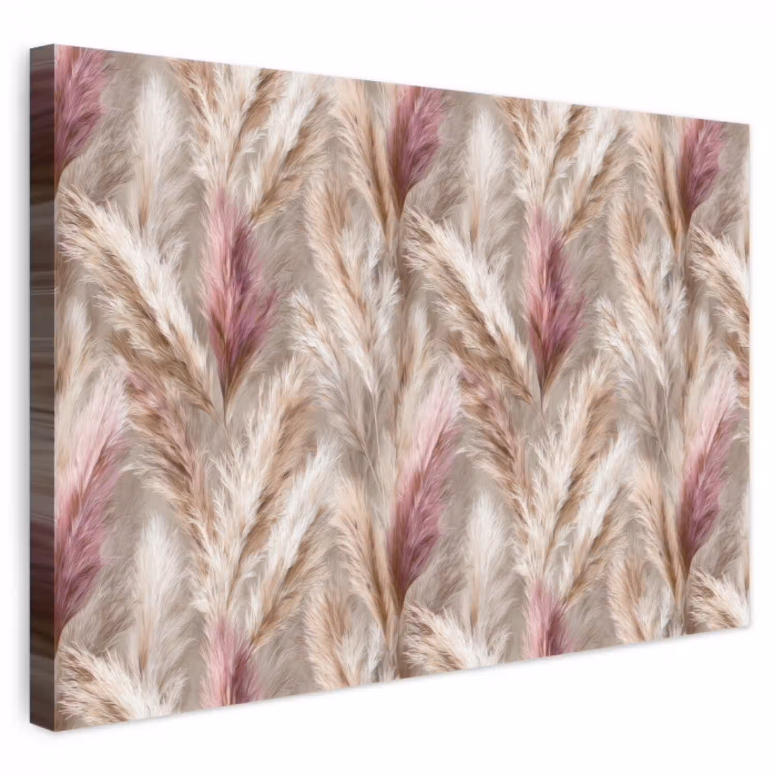 Pampasgras - Pluizig - Kleurrijk canvas 2cm klein 34 -3d