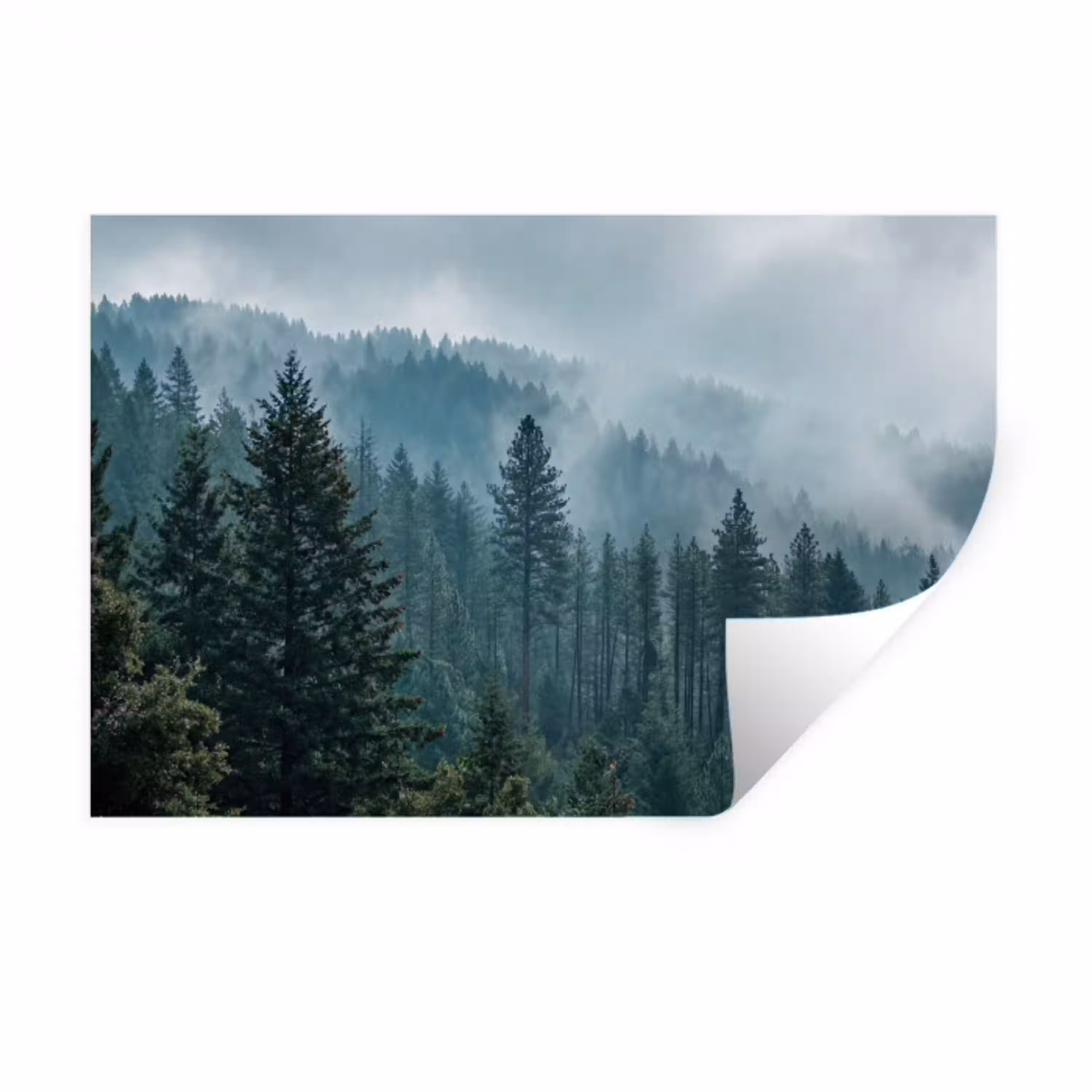 Naaldwoud - Bergen - Mist Muursticker klein -3d