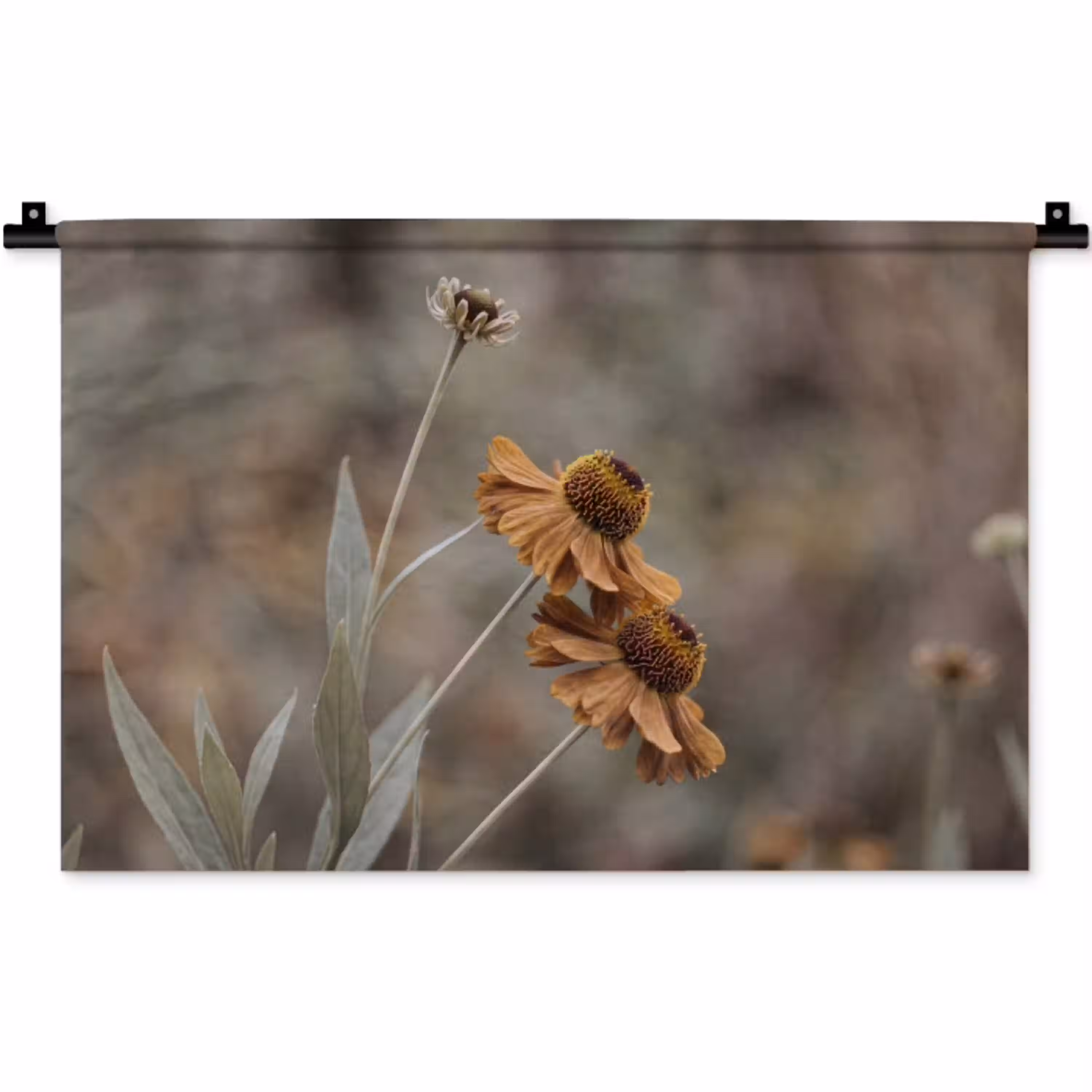 Zonnehoed - Droogbloemen - Geel - Warm Wandkleed katoen klein -zz3d