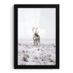 Rendier - Gewei - Sneeuw - Winter fotolijst zwart zonder passe partout klein -3d