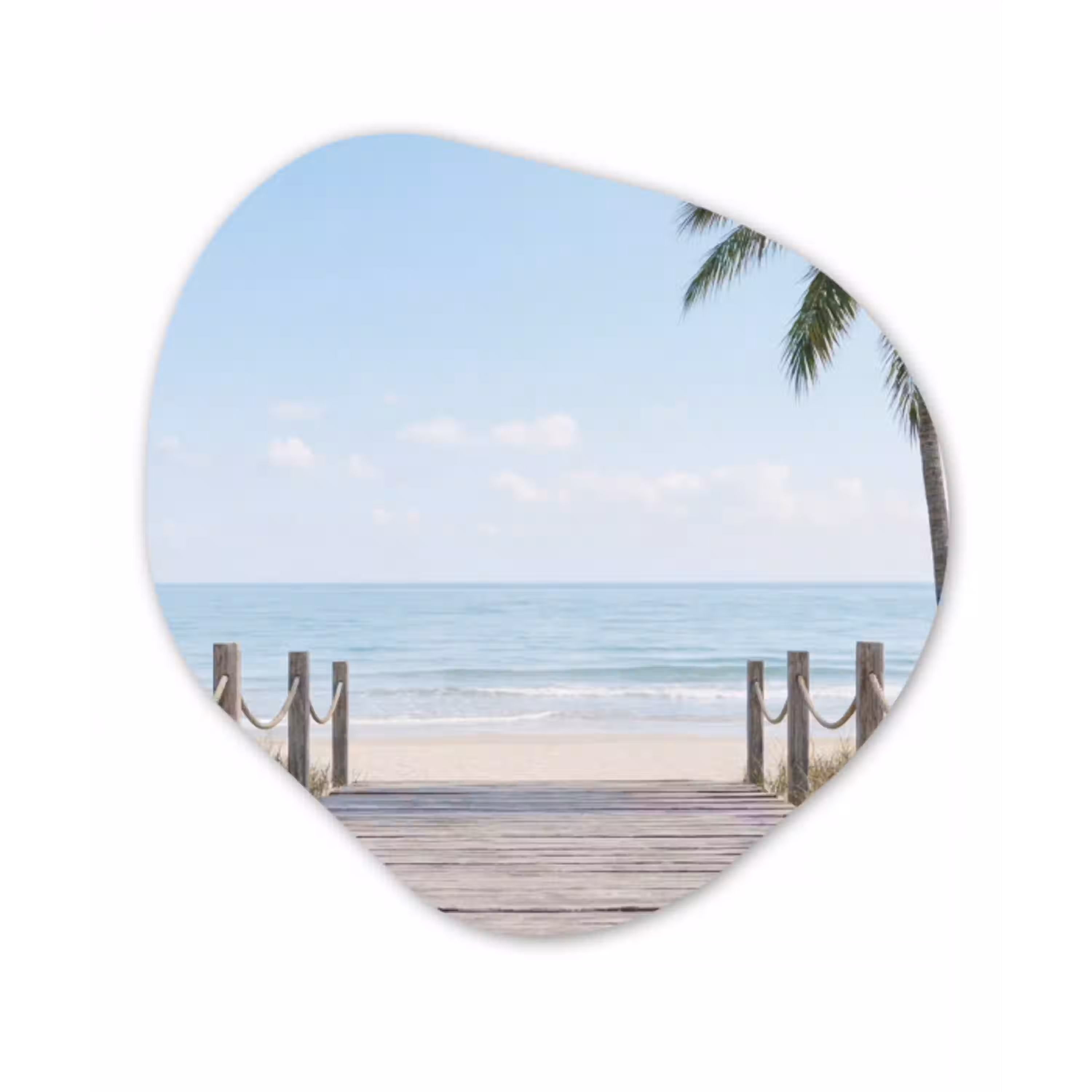 Palmbomen - Pad - Horizon Wandcirkel Organisch Aluminium middel -3d