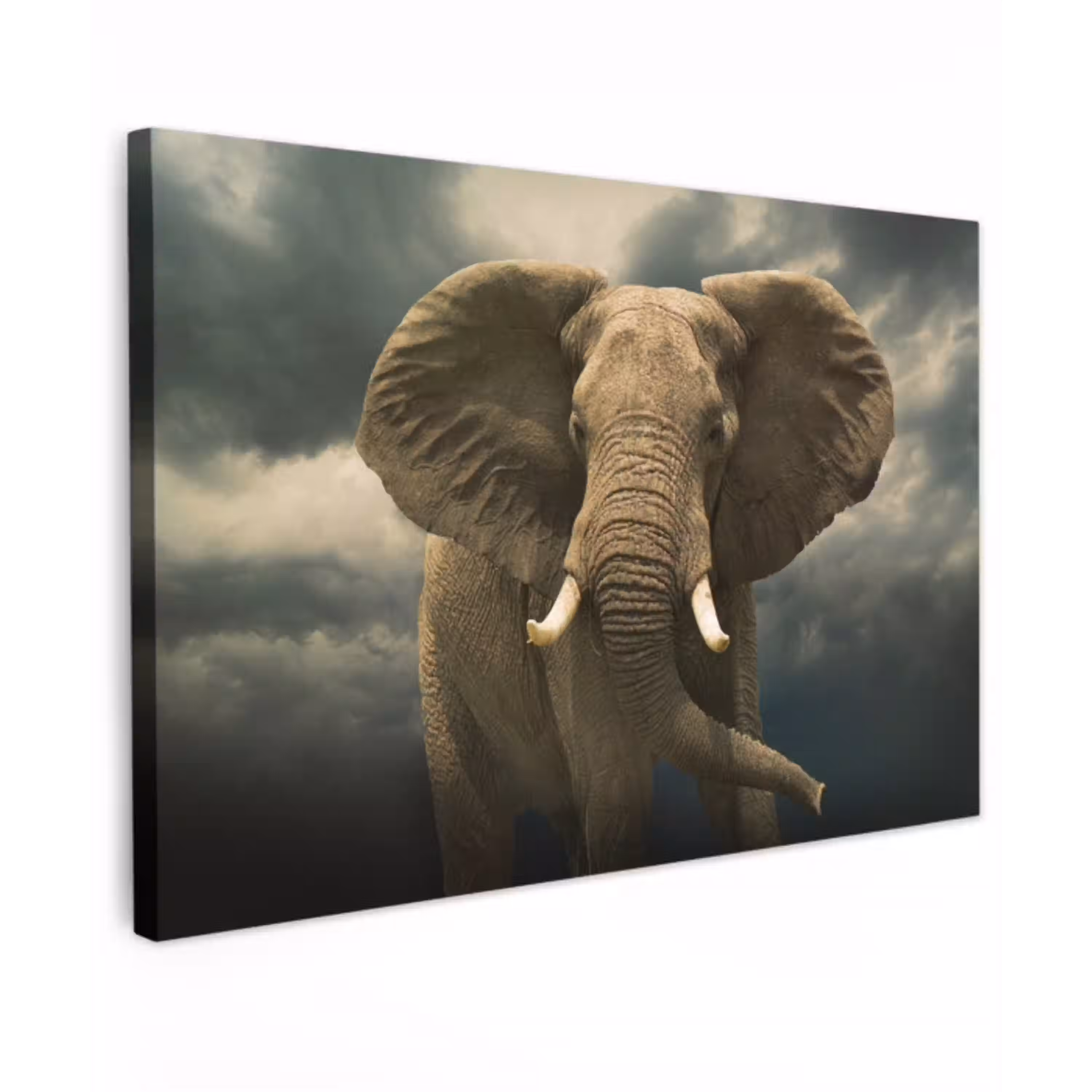 Afrikaanse olifant tegen de donkere wolken canvas 2cm klein -z3d