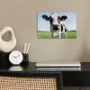 Koe - Weiland - Natuur - Dieren - Gras poster papier klein -sfeer1