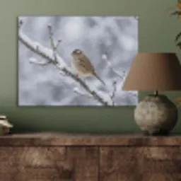 Vogel - Tak - Sneeuw - Winter PET vilt klein -sfeer2