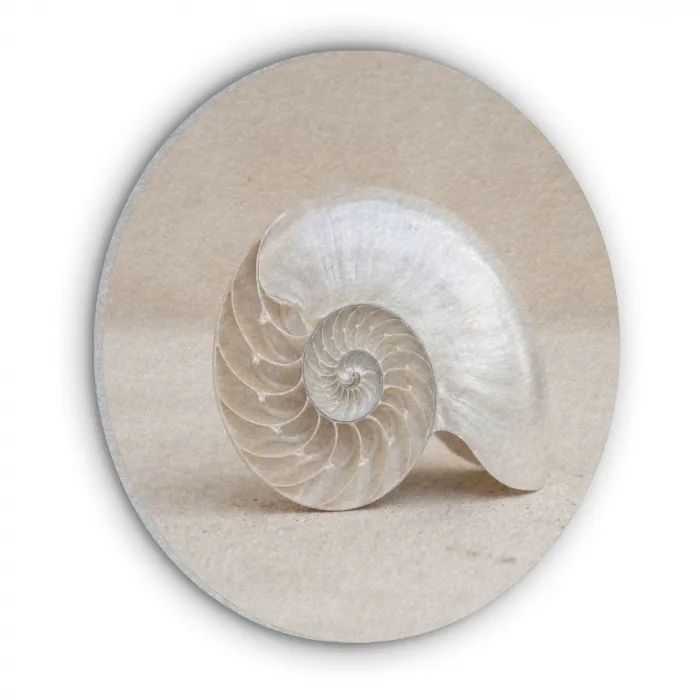 Schelp - Spiraal - Beige Akoestische PET Vilt - Rond klein -3d