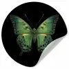 Vlinder - Groen - Diepte Wandcirkel behangsticker klein -3d