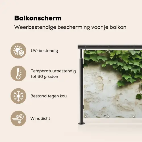 Klimop - Muur - Groen Balkonbeschermer Duitsland klein -specs_NL