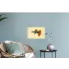Vis - illustratie - Stippen - Oranje Muursticker klein -plant