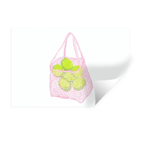 Netzakje - Roze - Illustratie - Limoenen Muursticker klein -3d