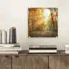 Bos - Herfst - Zon - Landschap - Natuur - Bomen - Bladeren plexiglas 5mm klein -sfeer1