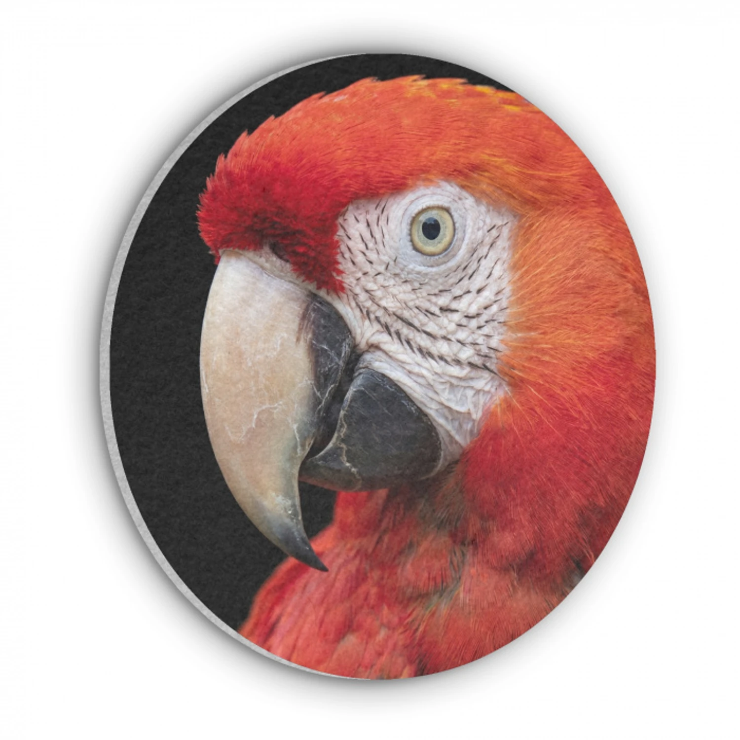 Ara - Portret - Rood Akoestische PET Vilt - Rond klein -3d