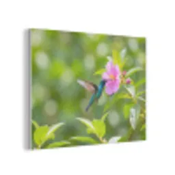 Kolibrie - Bloem - Natuur - Groen PET vilt klein -3d