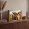 Schotse hooglander - Dieren portret - Natuur - Dier Light Box met batterij (Wandlamp) middel -sfeer2