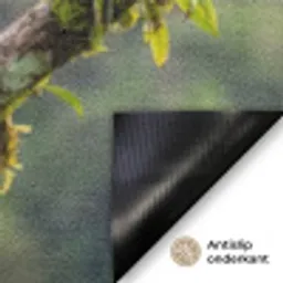 Toekan - Jungle - Natuur - Kleurrijk Deurmat klein -antislip_NL