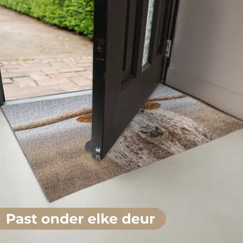 Longhorn - Grasveld - Dier Deurmat klein -USP_NL