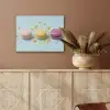Macarons - Kleurrijk - Pastel PET vilt klein -sfeer4