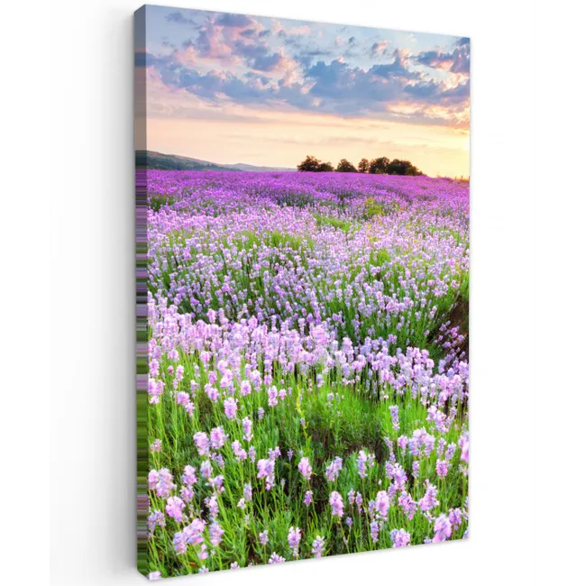 Bloemen - Lavendel - Paars - Lucht - Zonsondergang - Weide - Natuur canvas 2cm klein -z3d