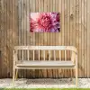 Dahlia - Bloem - Close up - Roze Tuinposter op houten frame 2 cm dik klein -sfeer4