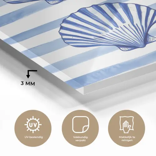 Vier schelpen - Blauw - Wit - Strepen plexiglas 5mm klein -sfeer2