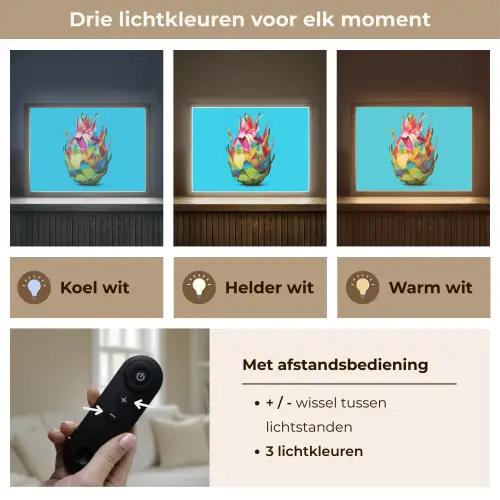 Drakenfruit - Blauw - Levendig Light Box met batterij (Wandlamp) middel -USP_lichtkleurNL