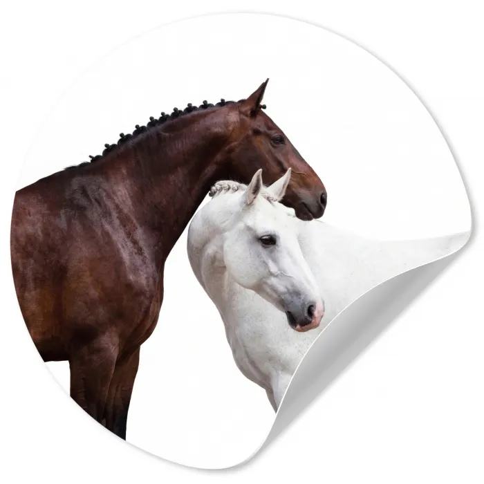 Paard - Modern - Balans Wandcirkel behangsticker klein -3d