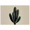 Cactus - Subtiel - Groen poster papier klein -3d