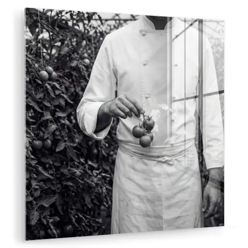 Tomaten - Chef - Zwart - Wit plexiglas 5mm klein -zzzproduct_nieuw