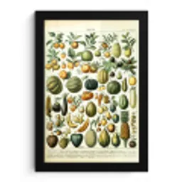 Fruit - Eten - Design - Vintage - Adolphe Millot fotolijst zwart zonder passe partout klein -3d