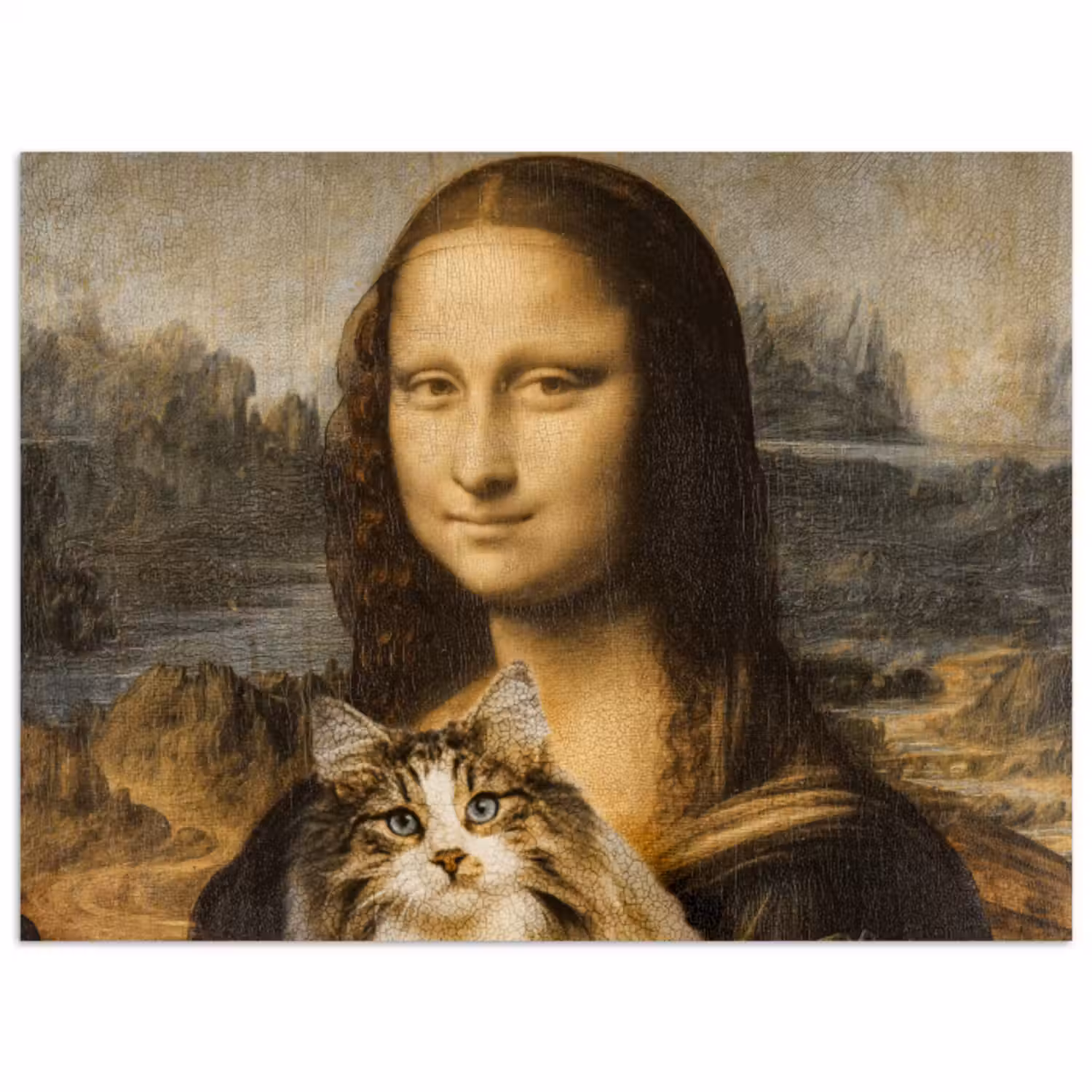 Poster - Mona Lisa - Kat - Leonardo da Vinci - Vintage - Kunstwerk - Oude meesters - Schilderij