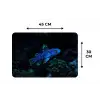 Vis - Stippen - Koraal - Blauw Placemat vinyl groot -specs