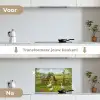 Ezels - Ganzen - Kleurrijk keuken achterwand spatscherm klein -voor_na_NL