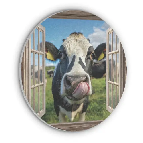 Doorkijk - Koe - Weiland - Dieren - Natuur Akoestische PET Vilt - Rond klein -3d