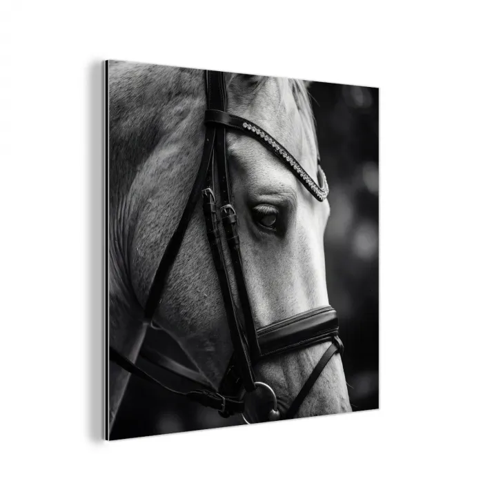 Paard - Schimmel - Portret aluminium wit klein -3d