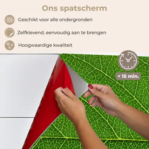 Natuur - Blad - Groen keuken achterwand spatscherm klein -spatscherm_NL