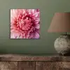 Dahlia - Bloem - Close up - Roze aluminium wit klein -sfeer2