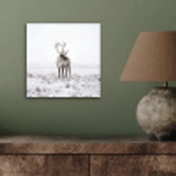 Rendier - Gewei - Sneeuw - Winter aluminium wit klein -sfeer2