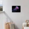Kwal - Doorzichtig - Roze - Tentakels tuinposter los doek klein -sfeer8