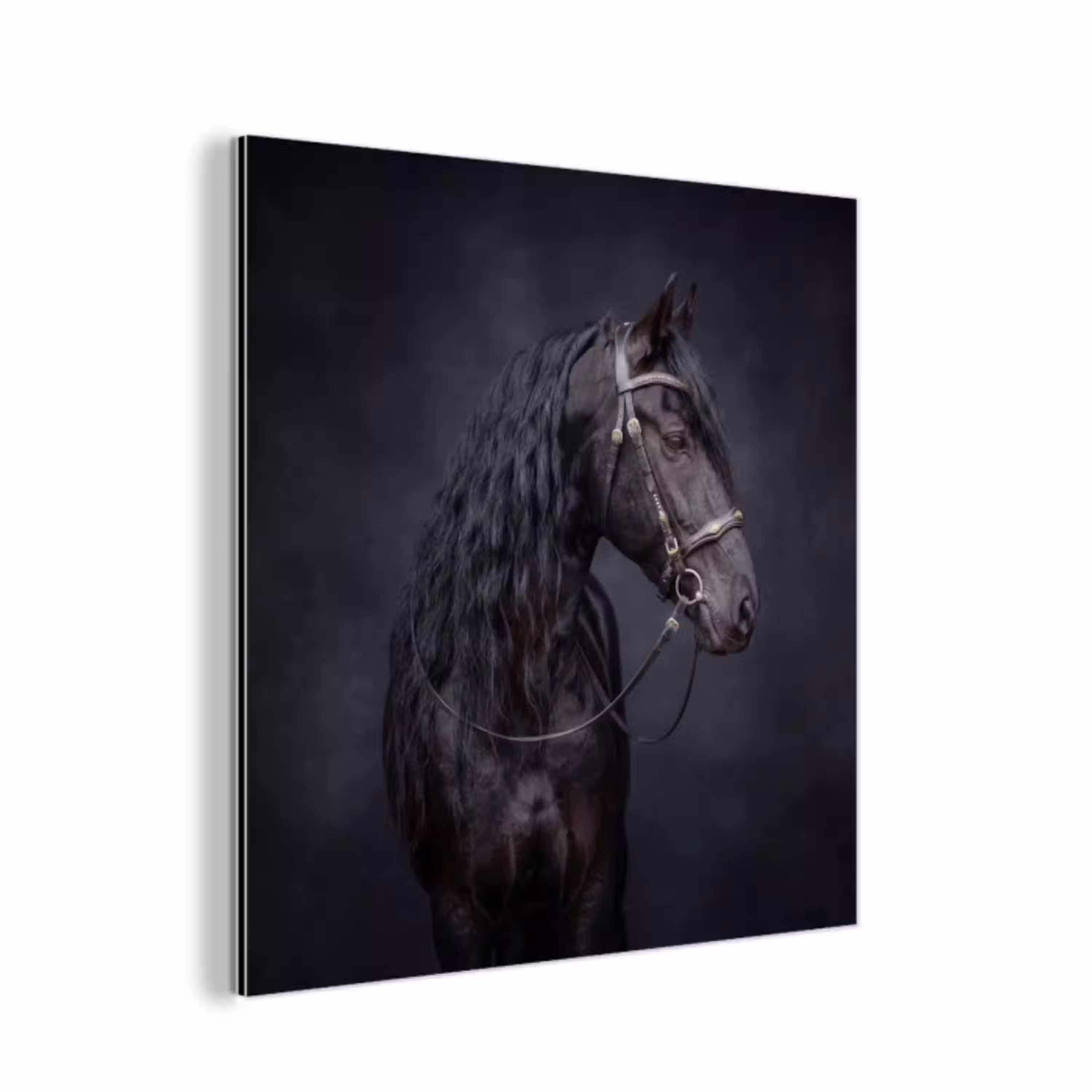 Portret - Paard - Donker aluminium wit klein -3d