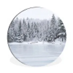 Meer - Dennen - IJs - Winter - Rustgevend Wandcirkel aluminium klein -3d