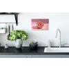 Grapefruit - Roze - Disco - Shiny Muursticker klein -keuken