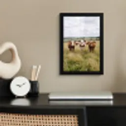 Koeien - Portret - Weide - Boerderij - Nieuwsgierig fotolijst zwart zonder passe partout klein -sfeer1