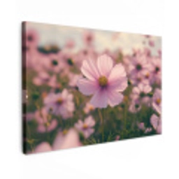 Bloemen - Paars - Wazig Tuinposter op houten frame 2 cm dik klein -3d