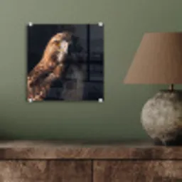 Roofvogel - Buizerd - Bruin plexiglas 5mm klein -sfeer3